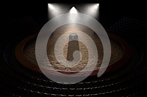 Circus Ring And Podium