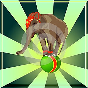 Circus show. Elephant on the ball. Trained animals. Vector. photo