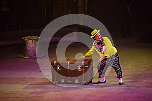 Circus show performance Baronets in Nizhny Novgorod