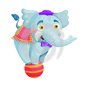 Circus trained animal trick flat vector illustration