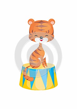 Circus trained tiger