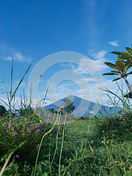 Ciremai Mountain view. Beber. West Java. Indonesia. photo