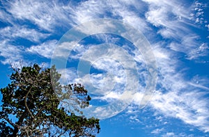 Cirriform clouds photo