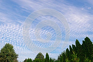 Cirrocumulus and cirrostratus clouds background