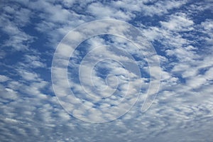 Cirrocumulus clouds photo