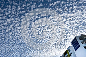 Cirrocumulus Clouds