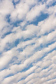 Cirrocumulus clouds in the sky