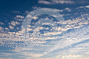 Cirrocumulus clouds sunset sky cloudscape background pattern