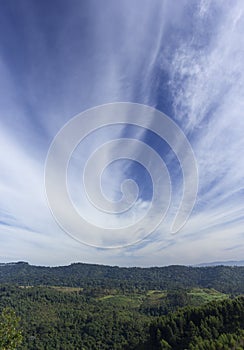 Cirrus clouds and blue skies over a forest in Brazil