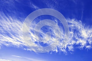 Cirrus fibratus, cirrus clouds in Latin language. Cloud formation, background with blue sky and cirrus clouds. Upper atmosphere, t