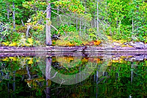 Cirrus Lake reflections, Quetico Provincial Park, Ontario
