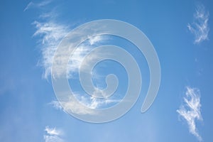 Cirrus white clouds on light blue sky. Panorama view background or overlay elements for design projects