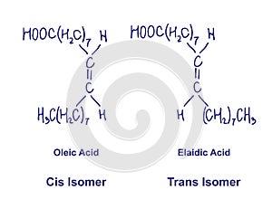 Cis and Trans isomerism. Oleic acid with Elaidic Acid chemical structure. Vector illustration Hand drawn.