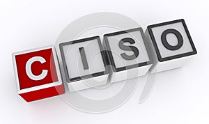 ciso Chief Information Security Officer word block on white photo