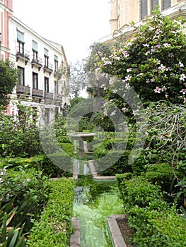 Cister Street -cathedral gardens-Malaga photo