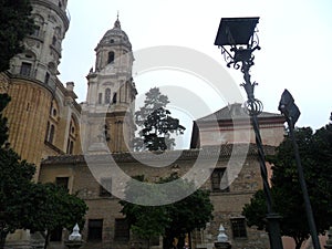 Cister Street -cathedral gardens-Malaga photo