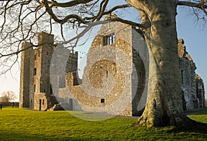 Bective Abbey. Trim. county Meath. Ireland