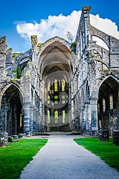 Cistercian Abbey of Villers