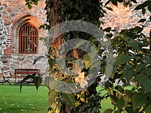 Cistercian monastery hotel in Cedynia on the Oder river Poland