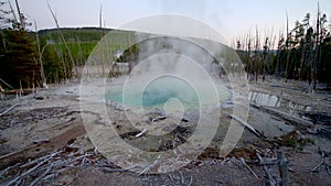 Cistern Spring Norris Geyser