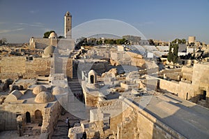 Citadel of Aleppo photo