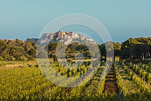 Citadel of Calvi in Balagne region of Corsica