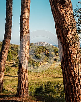 Citadel of Calvi in Balagne region of Corsica