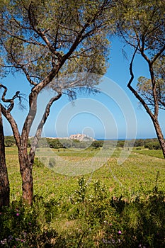 Citadel of Calvi in Balagne region of Corsica