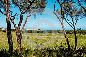 Citadel of Calvi in Balagne region of Corsica