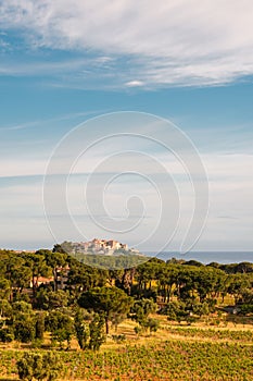 Citadel of Calvi in Balagne region of Corsica