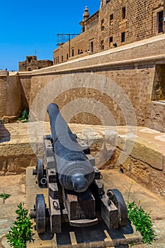 Citadel Cannon