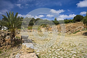 The Citadel of Chellah - the Roman ruins