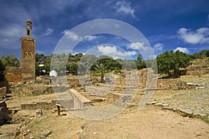 The Citadel of Chellah - the Roman ruins