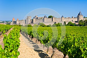 Cite in Carcassone in a sunny summer day photo