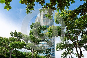 Cities in nature. Tall building with sky background and tree foreground. Architect and nature concept