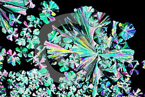 Citric acid crystals in polarized light