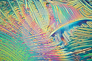 citric acid crystals in polarized light