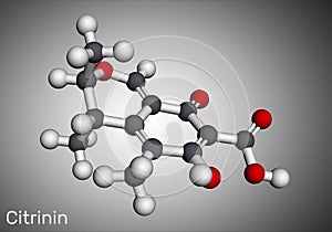 Citrinin molecule. It is antibiotic and mycotoxin from Penicillium citrinum. Molecular model. 3D rendering