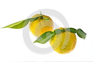 Citron