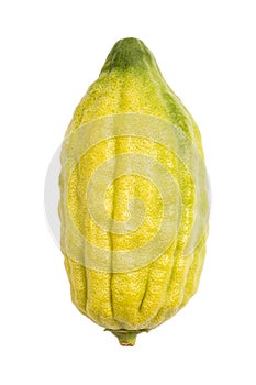 Citron, Etrog photo