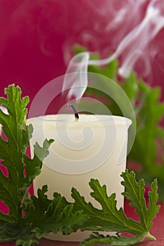 Citronella Candle