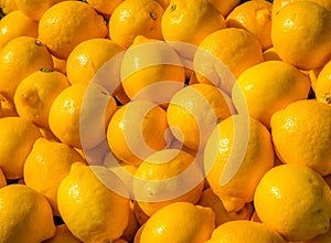 Citrons photo