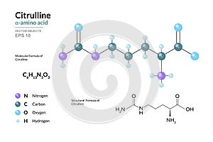 Citrulline. Alpha Amino Acid. Structural Chemical Formula and Molecule 3d Model. C6H13N3O3. Atoms with Color Coding. Vector photo