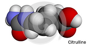 Citrulline C6H13N3O3, alpha amino acid molecule. Molecular model photo