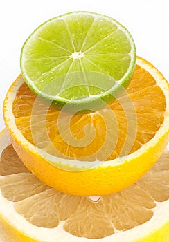 Citrus