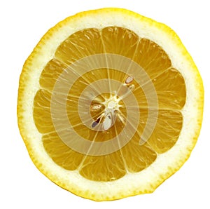 Citrus