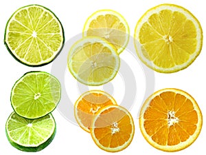 Citrus photo