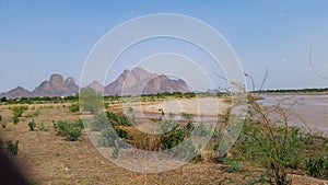 Citrus, banana and corn trees are among the most important characteristics of irrigated agriculture in Kassala city, eastern Sudan photo