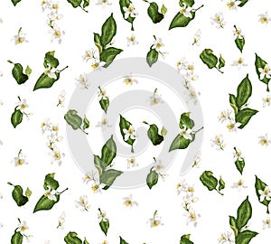 Citrus branches seamless pattern with flowers and leaves. Flower