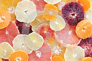 Citrus circles background